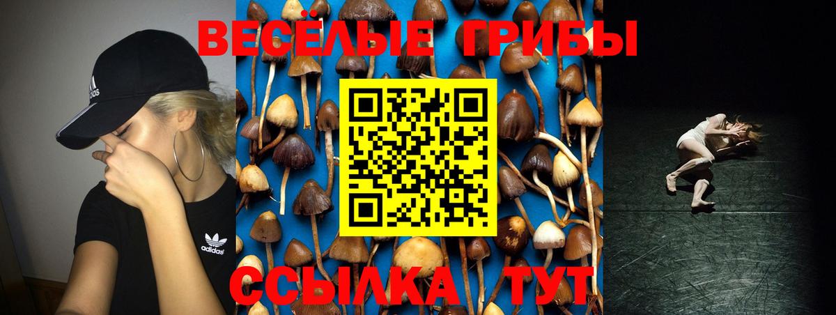 Псилоцибиновые грибы Psilocybe Люберцы